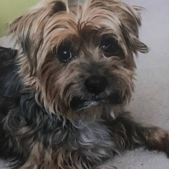 Meet your Posher, Magdalena - Picture 1 of 1